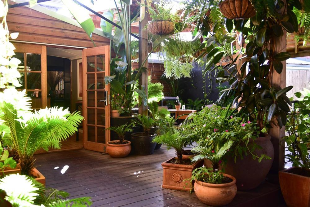 Macleay Cottage With Plunge Pool And Local Arts 达博 外观 照片